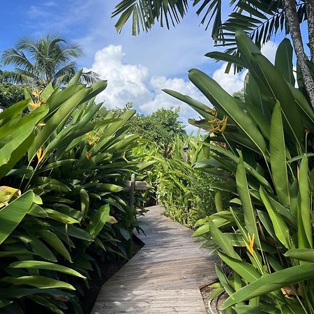 Eden Paradise Ecolodge & Spa Sainte-Luce Ngoại thất bức ảnh