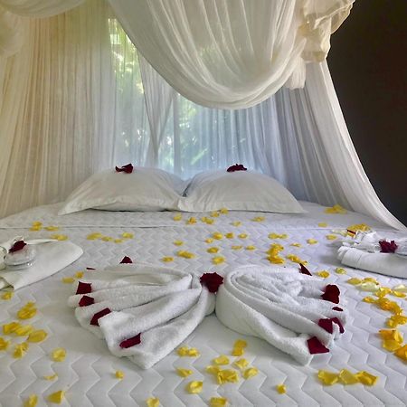 Eden Paradise Ecolodge & Spa Sainte-Luce Phòng bức ảnh