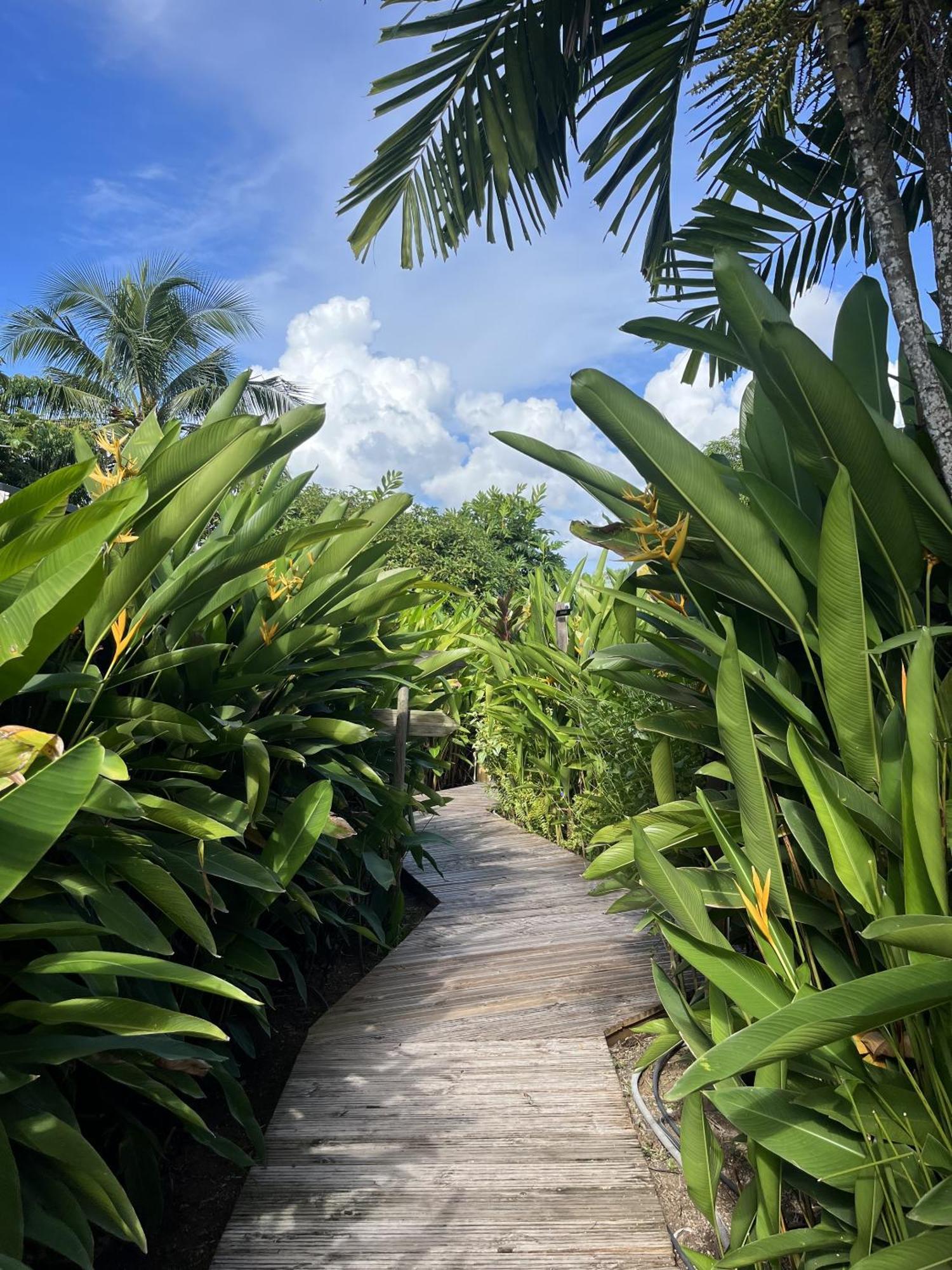 Eden Paradise Ecolodge & Spa Sainte-Luce Ngoại thất bức ảnh