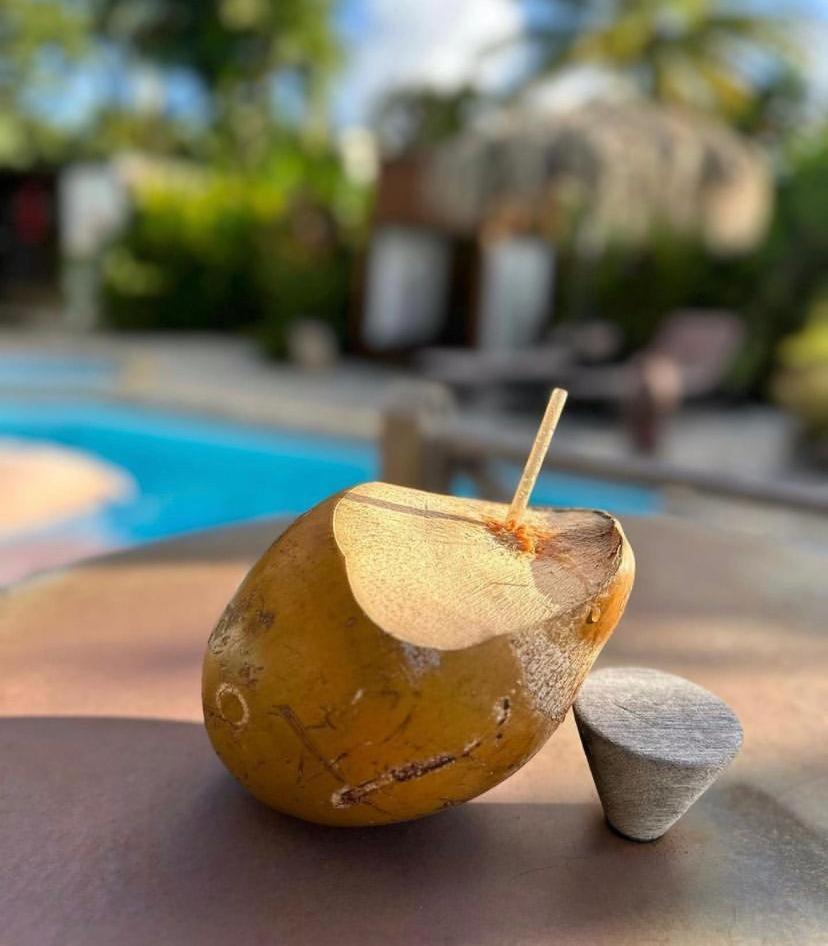 Eden Paradise Ecolodge & Spa Sainte-Luce Ngoại thất bức ảnh